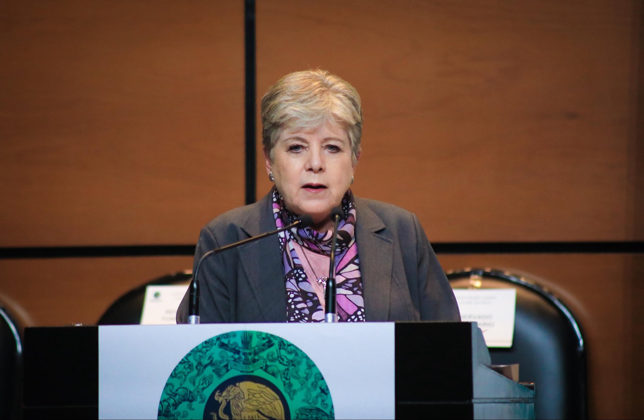 Admite Alicia Bárcena daños a ocho cenotes por obras del Tren Maya