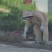 Fallece hombre mayor tras ataque de abejas en Etla