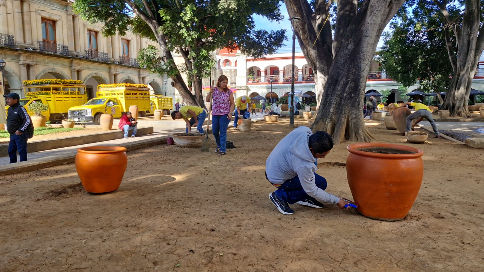 Embellece COESFO espacios públicos en la capital oaxaqueña con motivo del Día de Muertos