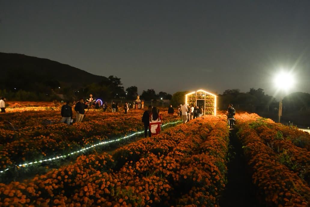Da Sectur Oaxaca banderazo de salida del circuito floral “Flores que Guían el Alma”