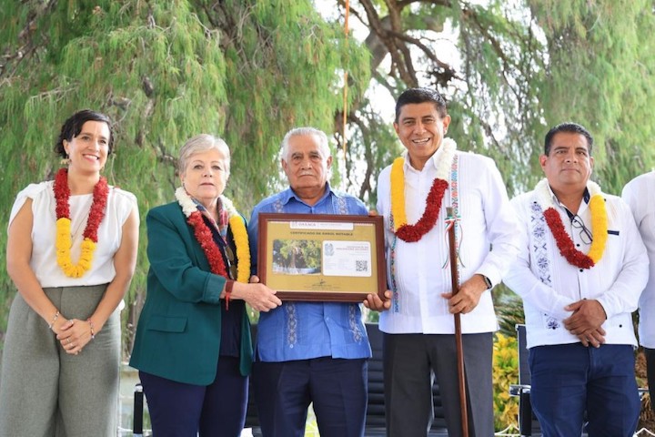 Gobierno de Oaxaca y Federación entregan certificados a ocho Árboles Notables e Históricos