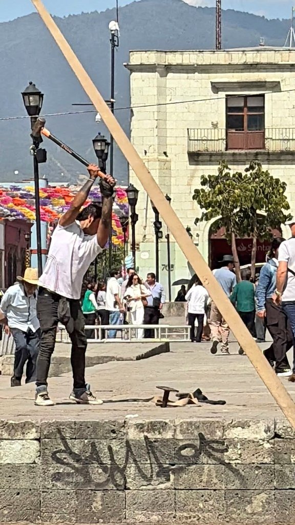 Dañan cantera de la Alameda de León por instalación de carpas para bailes y ferias populares