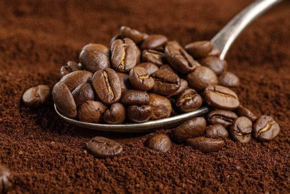 Recorre ocho pueblos zapotecos por la Ruta del Café Pluma