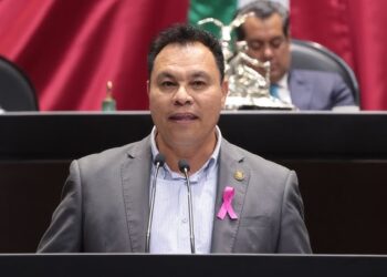 Reta Yáñez a Morena: recorta 30 mil mdp para salud y estancias
