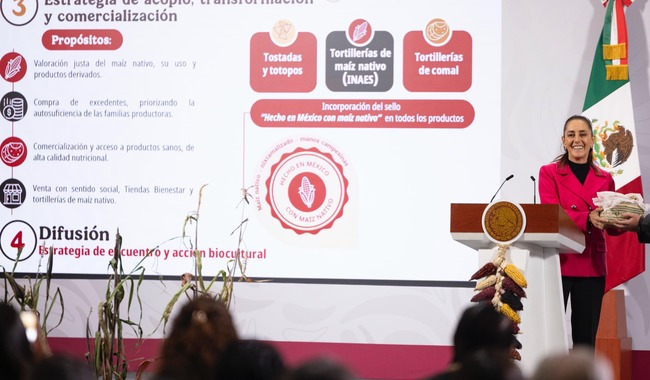 Sheinbaum presenta Plan Nacional de Maíz Nativo
