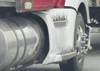Refuerzan tráileres con púas para sobrevivir a asaltos en carretera; en Oaxaca desaparecen cuatro operadores en una semana