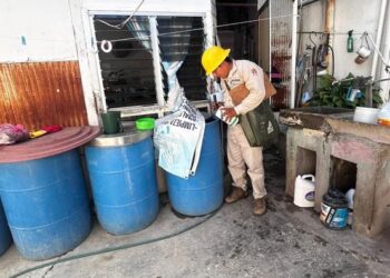 Llama SSO a reforzar la prevención contra el dengue incluso en temporada de frío
