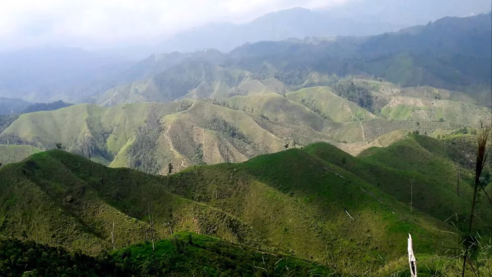 Oaxaca encamina un triunfo jurídico: Chiapas podría perder 160 mil hectáreas en litigio ante la SCJN