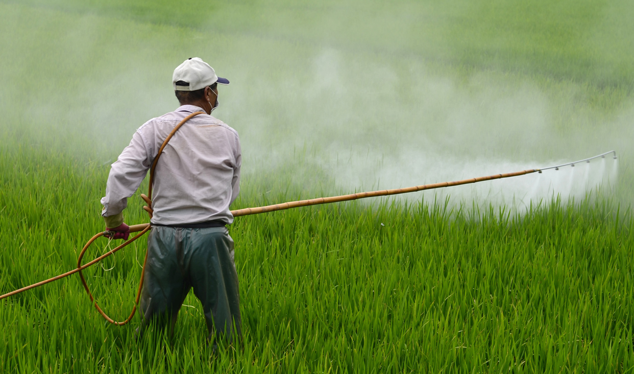 Advierten especialistas sobre la sinergia tóxica de plaguicidas en el campo oaxaqueño