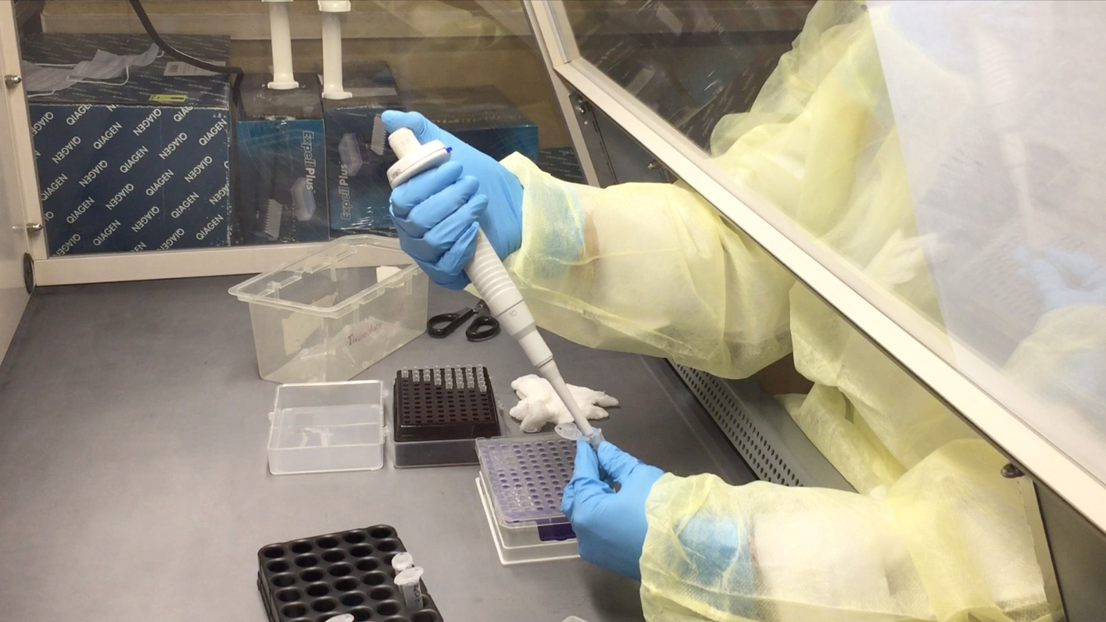 Realiza Laboratorio Estatal más de 12 mil estudios sanitarios en 2025: SSO