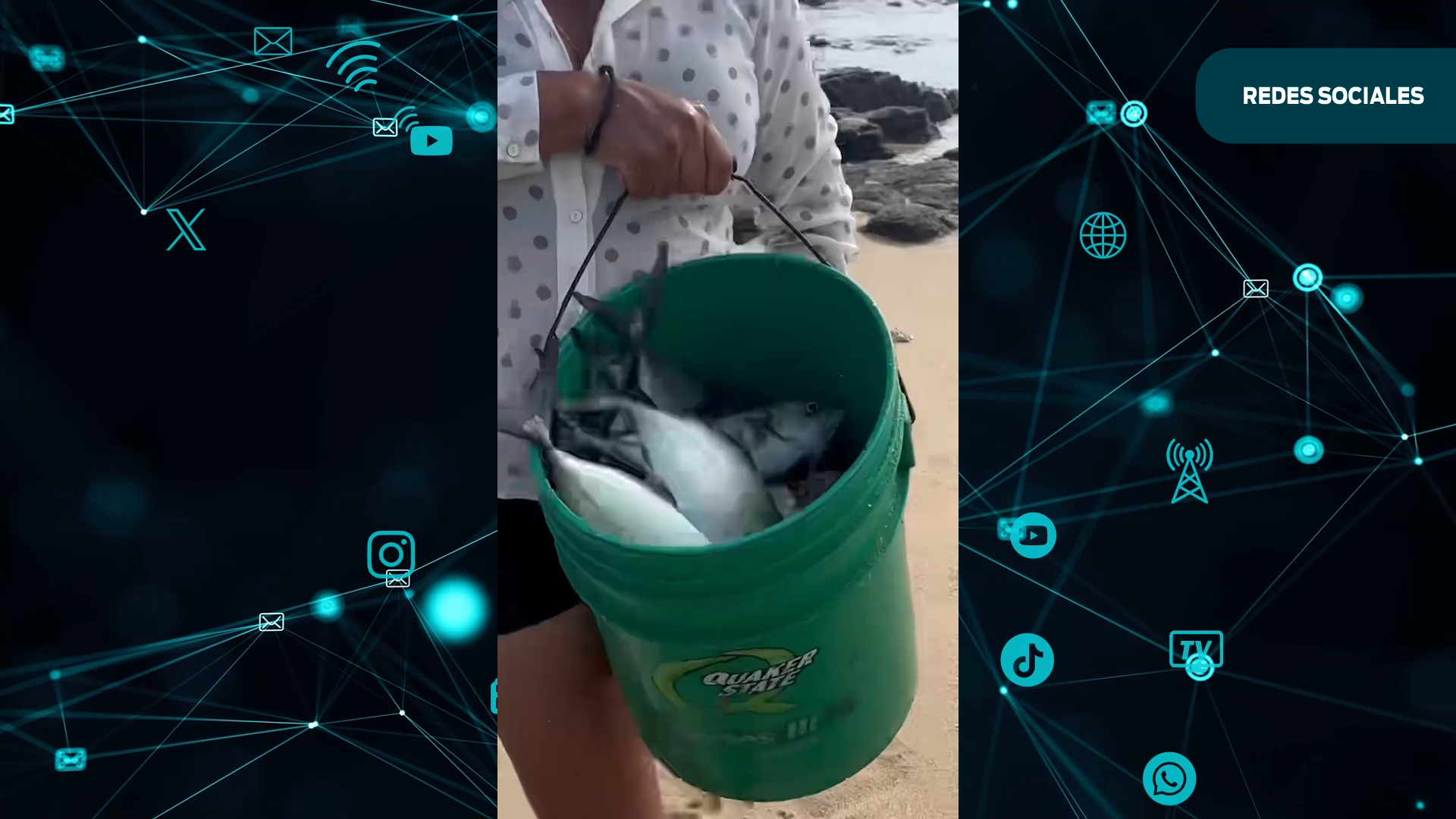 Sorprende varamiento masivo de peces en playa Agua Blanca, en Puerto Escondido