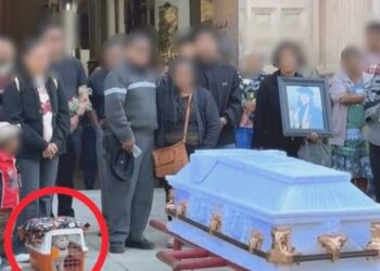 Entre flores y silencios, un michi se despide de su humana en Oaxaca