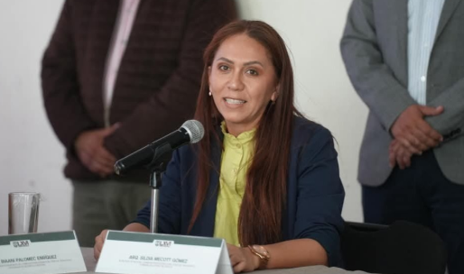 Oaxaca Camina prioriza seguridad y movilidad: Sinfra