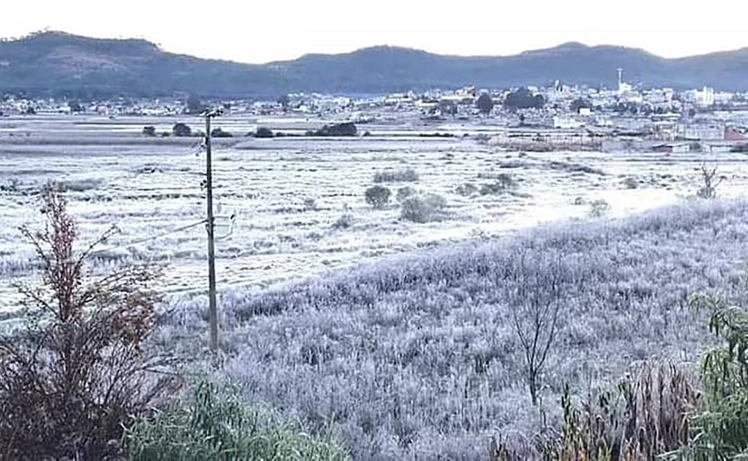 Azotan heladas regiones serranas de Oaxaca con temperaturas bajo cero