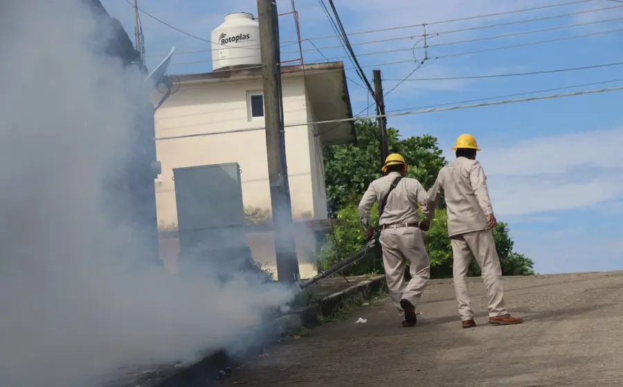 Llama IMSS Oaxaca a reforzar prevención contra dengue