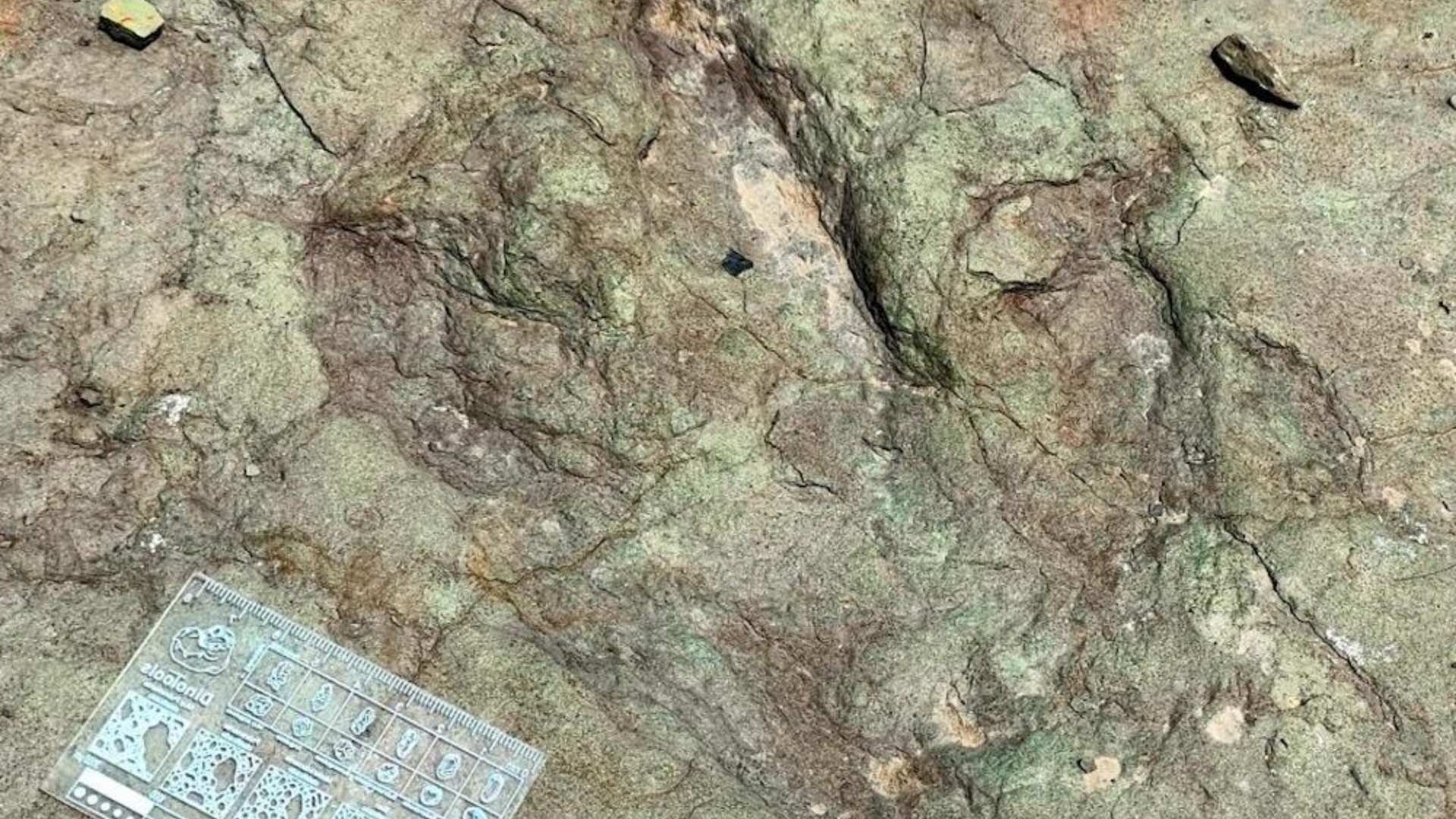 Descubren huellas fósiles de dinosaurios en Tlaxiaco, Oaxaca