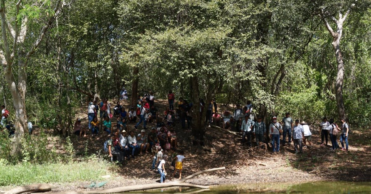 Comunidades mayas de Hopelchén denuncian devastación por agroindustria