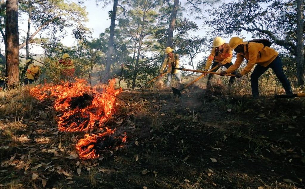 Activan incendios y explosión alertas ambientales en Oaxaca