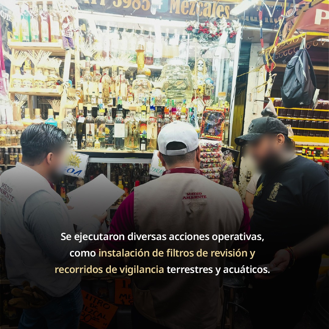 Acciona Profepa en Oaxaca contra el tráfico ilegal de especies