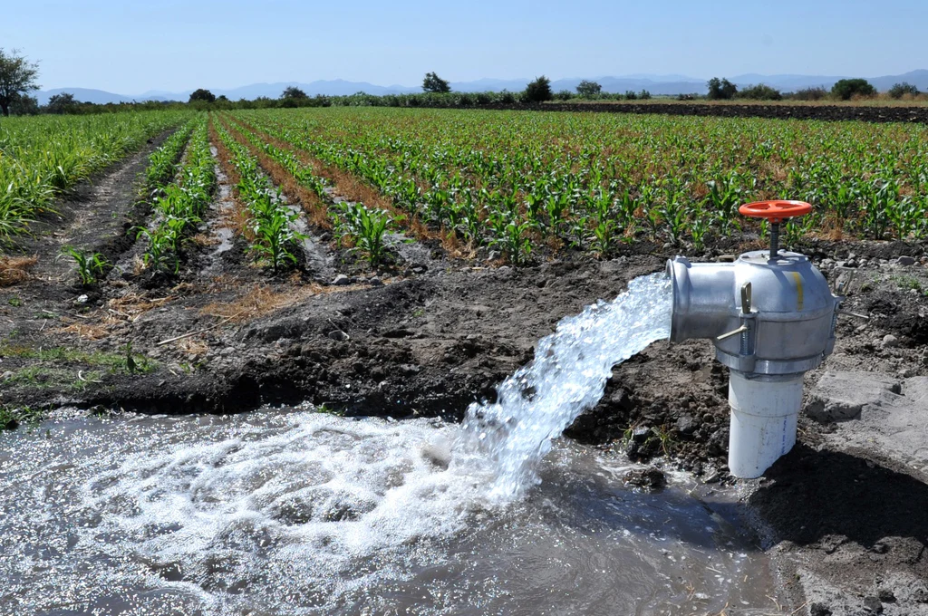 Sector agrícola acapara 76% del agua potable en México