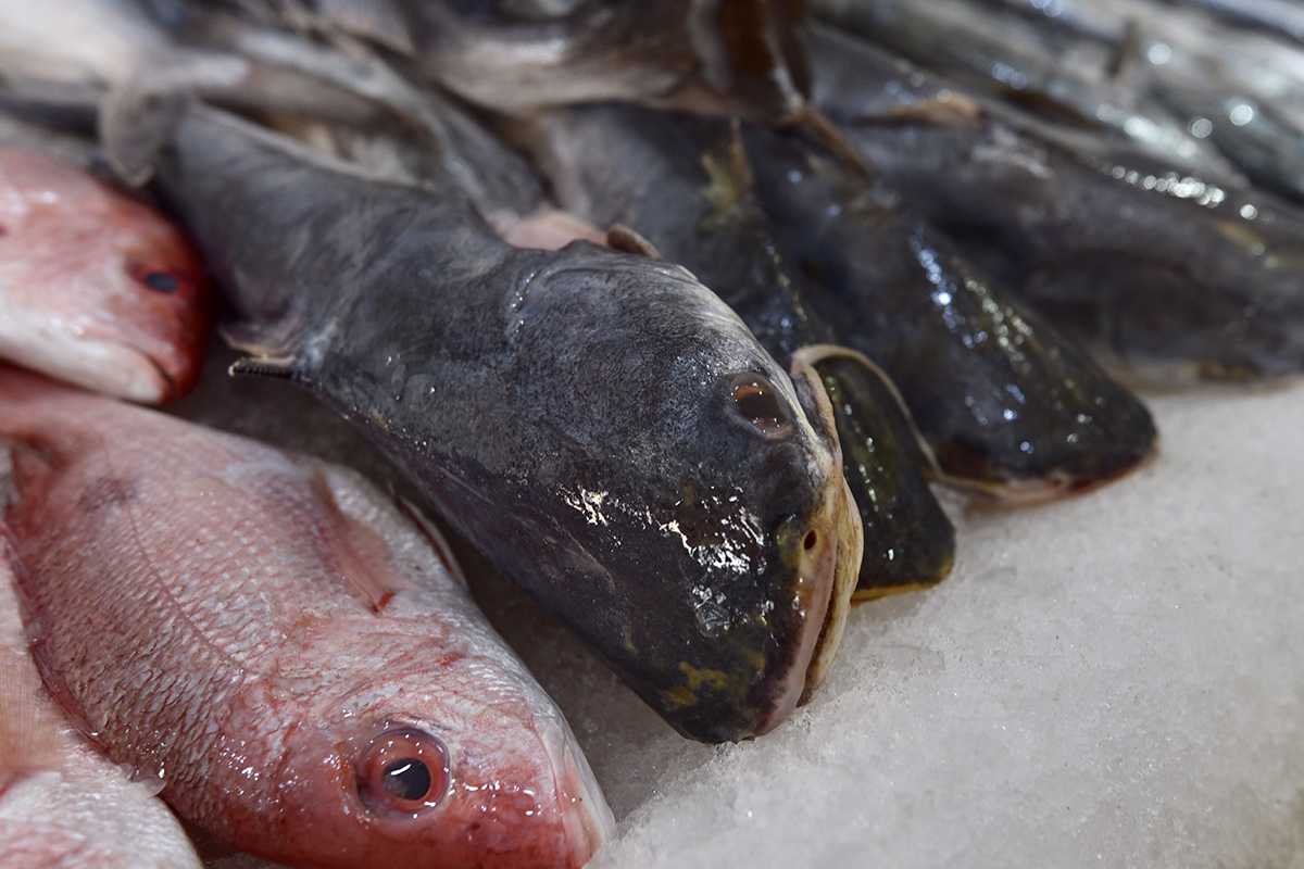 Denuncian fraude masivo en venta de pescado en México