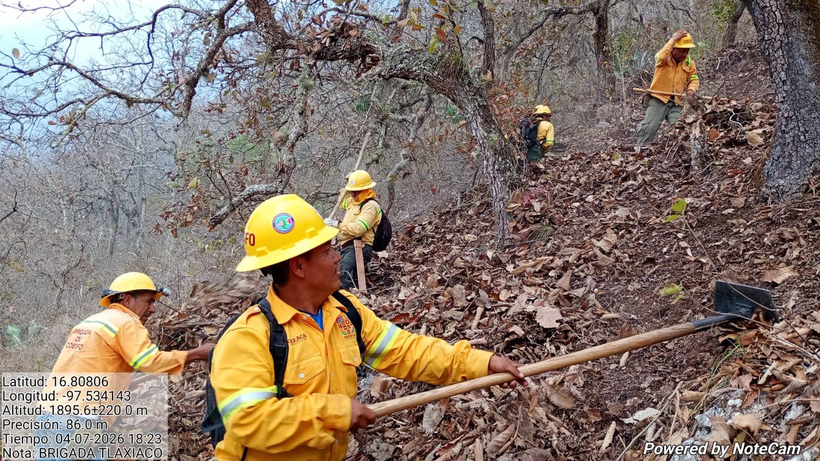 COESFO informa avances en combate a incendio en Santiago Yosondúa