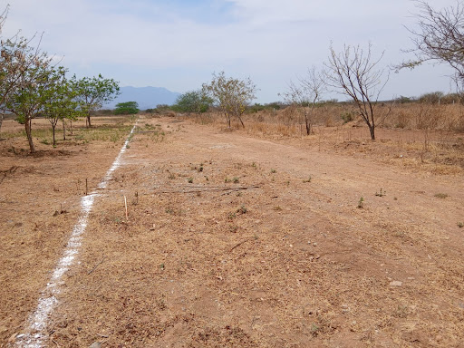 Buscan pobladores de Los Tamarindos rectificación de límites territoriales ante Bienes Comunales