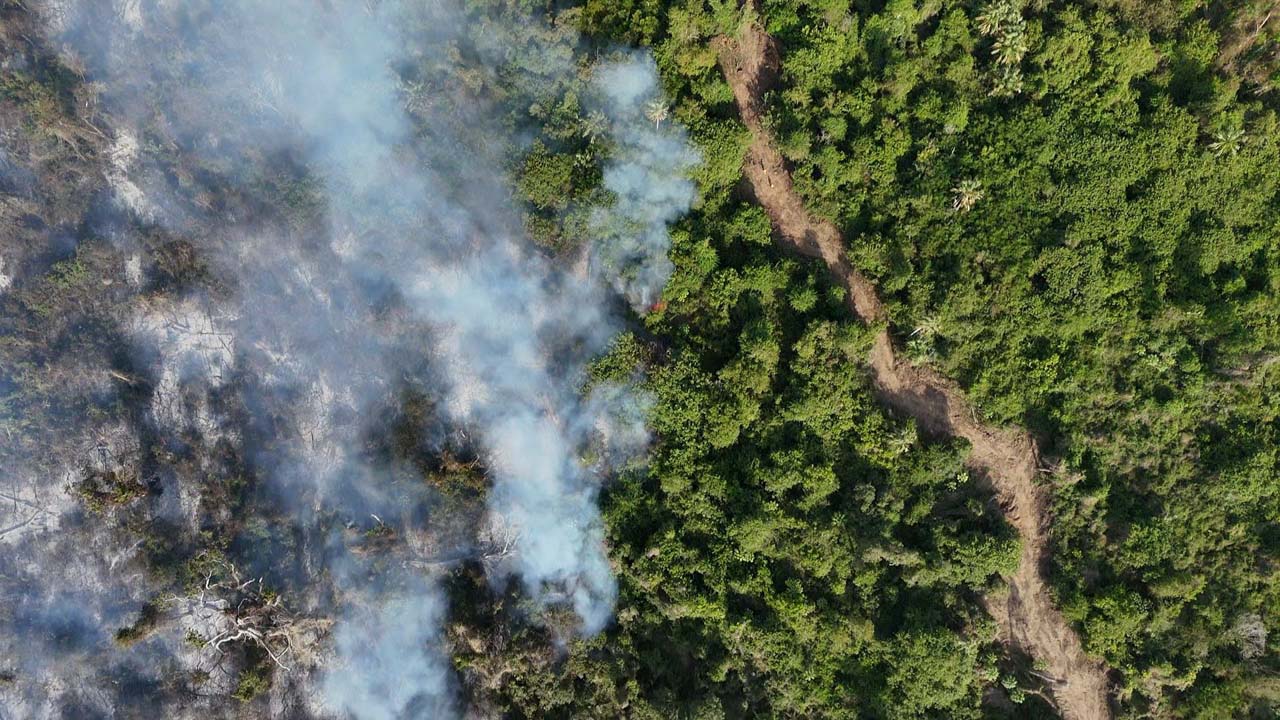 Incendio arrasa Chacahua y amenaza biodiversidad en la costa de Oaxaca