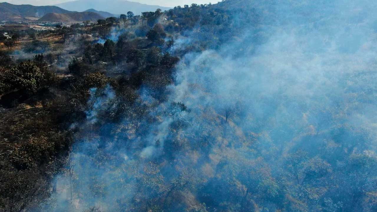 Acusan a familia Leaño de provocar incendios en bosque Nixticuil, en Guadalajara