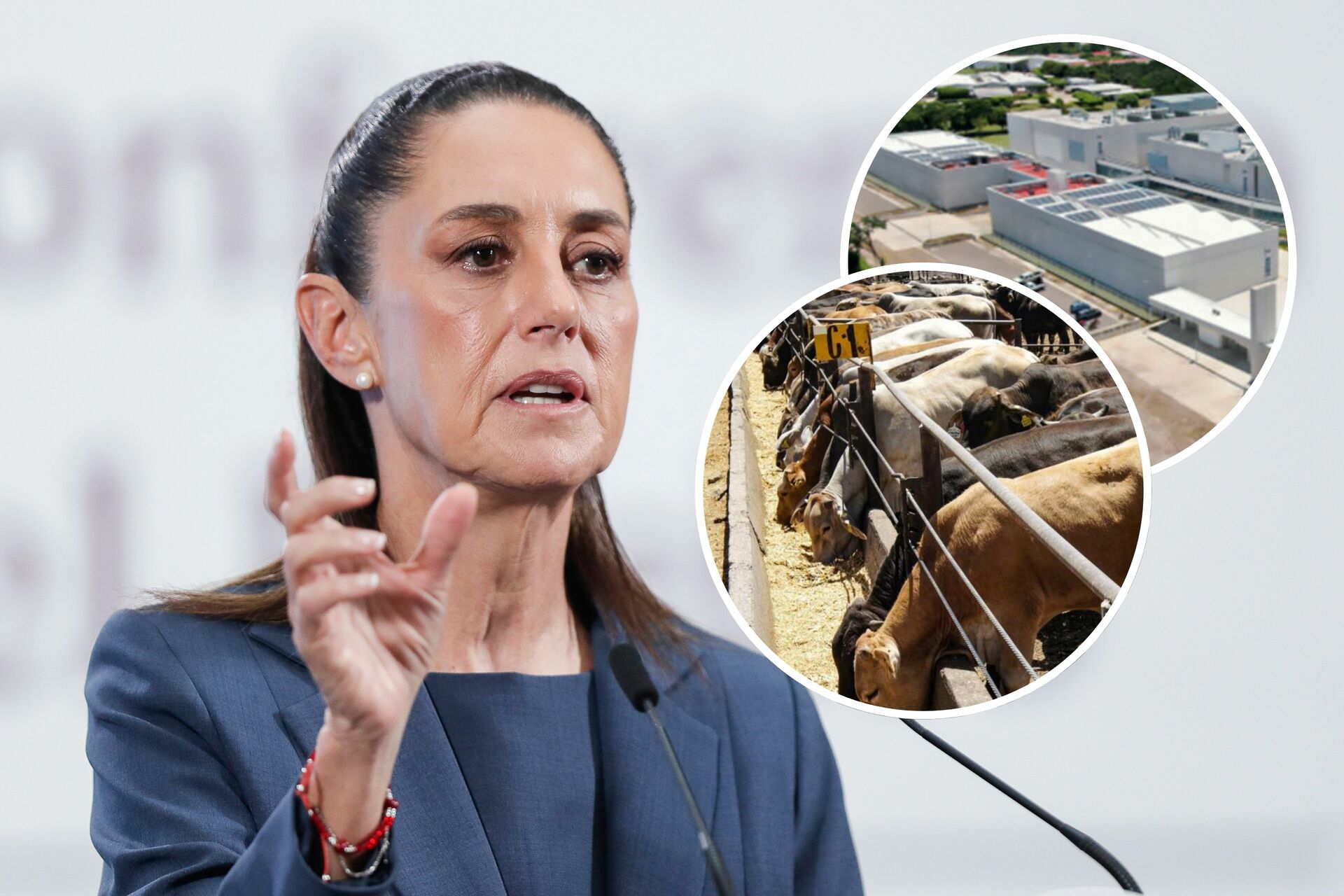 Estados Unidos reconoce a Claudia Sheinbaum como una «aliada extraordinaria» durante inauguración de planta contra el gusano barrenador
