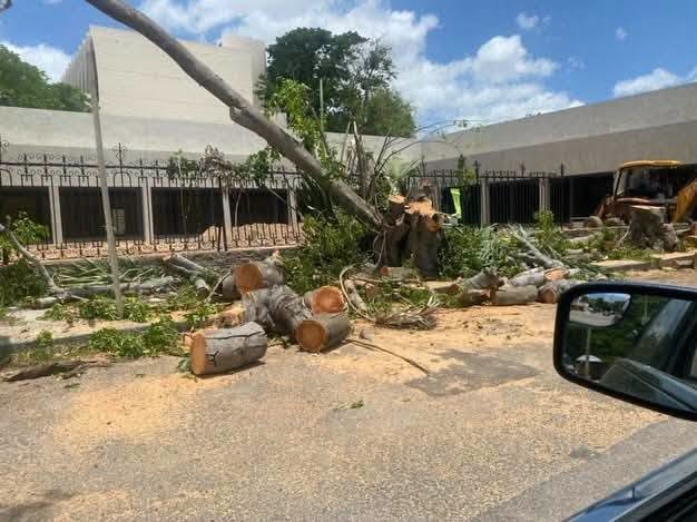 Aplican multas históricas a Parque Oaxaca por obras y tala