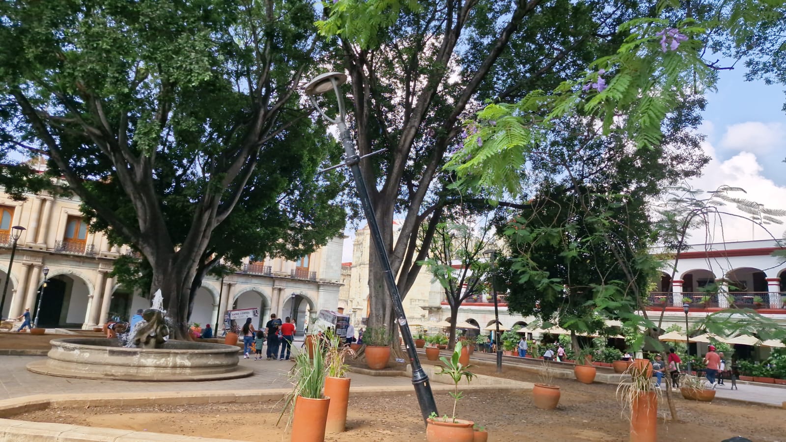 Luminarias colapsadas y otras a punto de caer; saldo de la ocupación magisterial en el Zócalo de Oaxaca